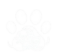 Animal Website